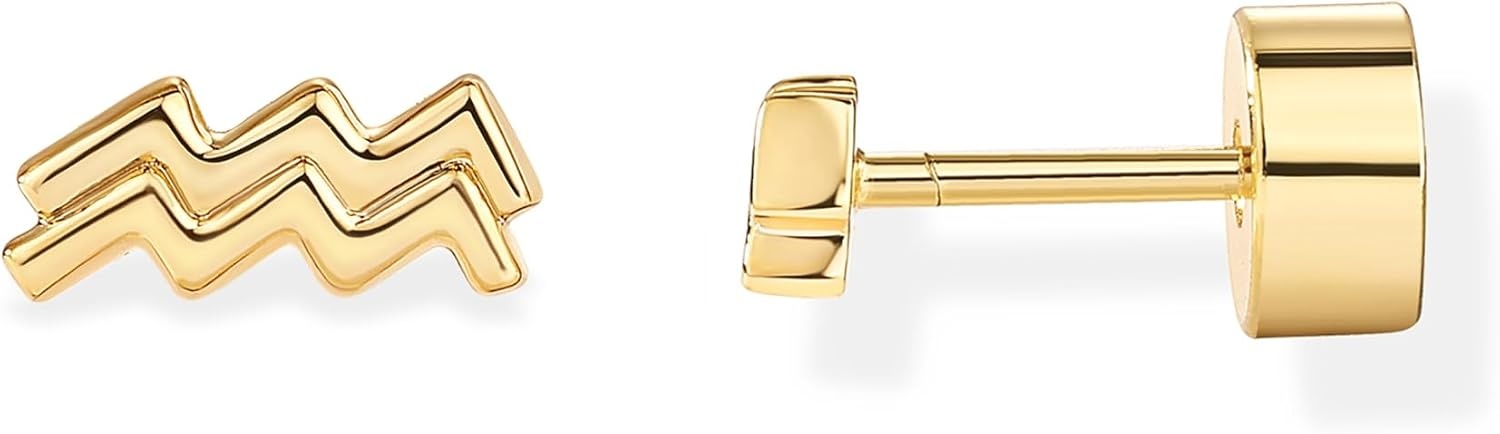 image:imagePAVOI 14K Gold Plated 925 Sterling Silver Posts Zodiac Sign Flat Back Earring Studs Birthday Gift for Women Astrology Earring PairAquarius