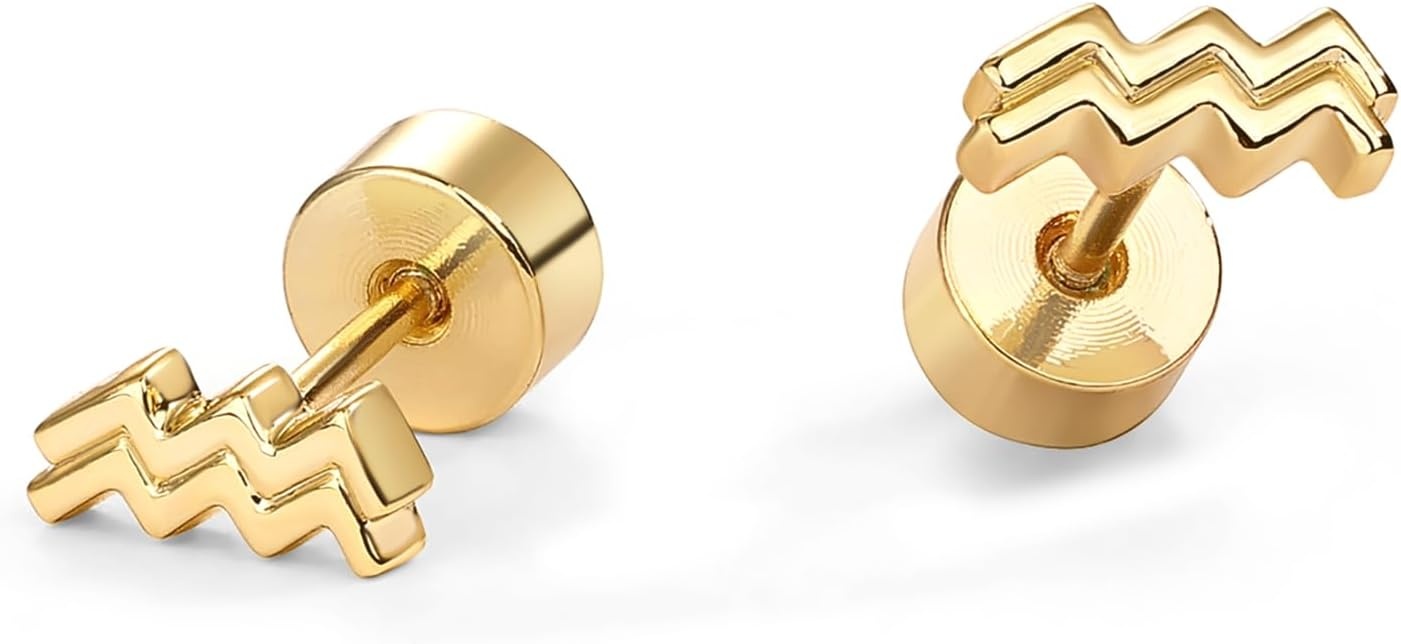 image:imagePAVOI 14K Gold Plated 925 Sterling Silver Posts Zodiac Sign Flat Back Earring Studs Birthday Gift for Women Astrology Earring PairAquarius