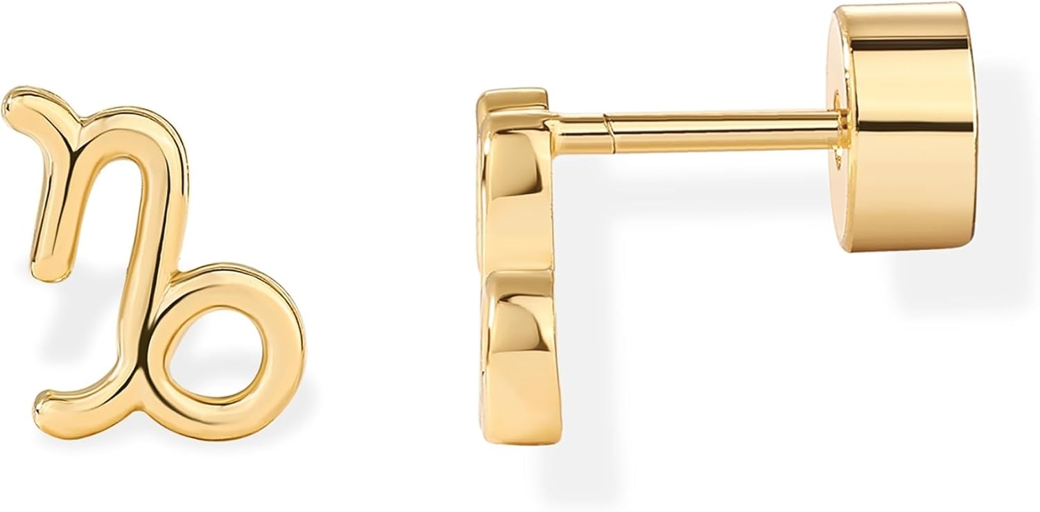 image:imagePAVOI 14K Gold Plated 925 Sterling Silver Posts Zodiac Sign Flat Back Earring Studs Birthday Gift for Women Astrology Earring PairCapricorn