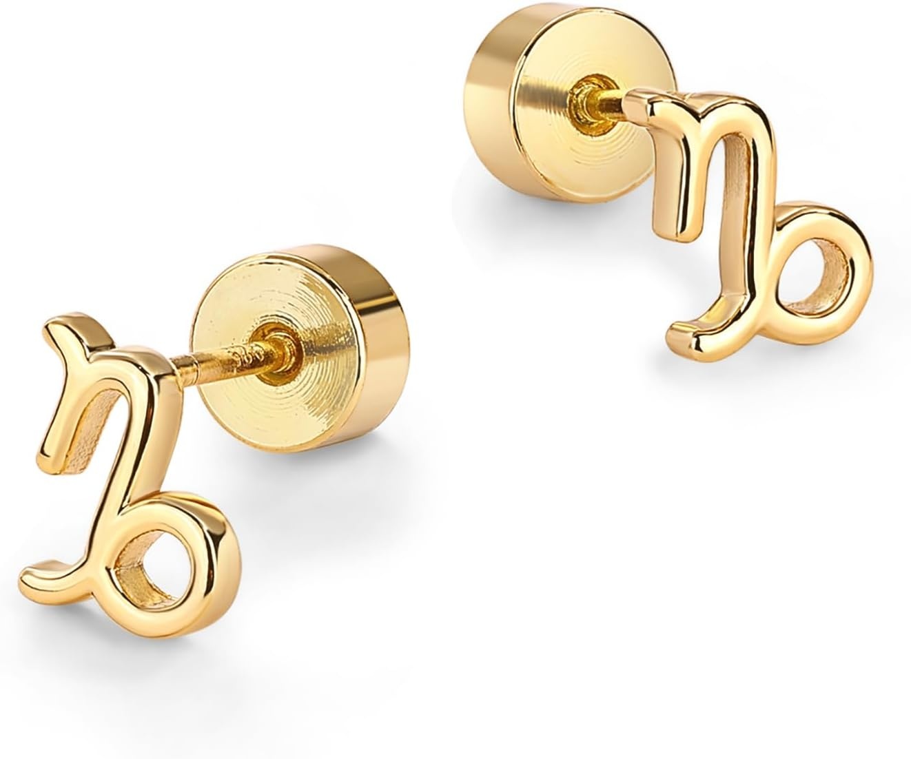 image:imagePAVOI 14K Gold Plated 925 Sterling Silver Posts Zodiac Sign Flat Back Earring Studs Birthday Gift for Women Astrology Earring PairCapricorn