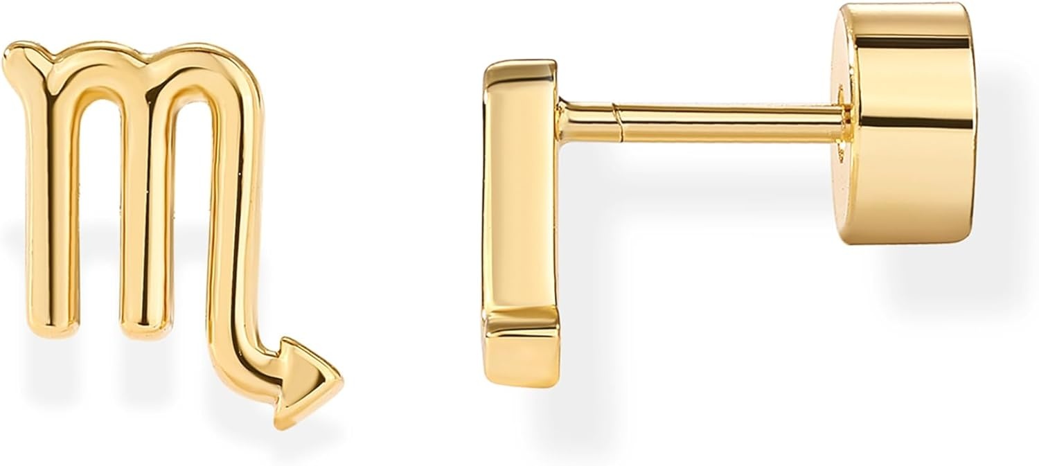 image:imagePAVOI 14K Gold Plated 925 Sterling Silver Posts Zodiac Sign Flat Back Earring Studs Birthday Gift for Women Astrology Earring PairScorpio