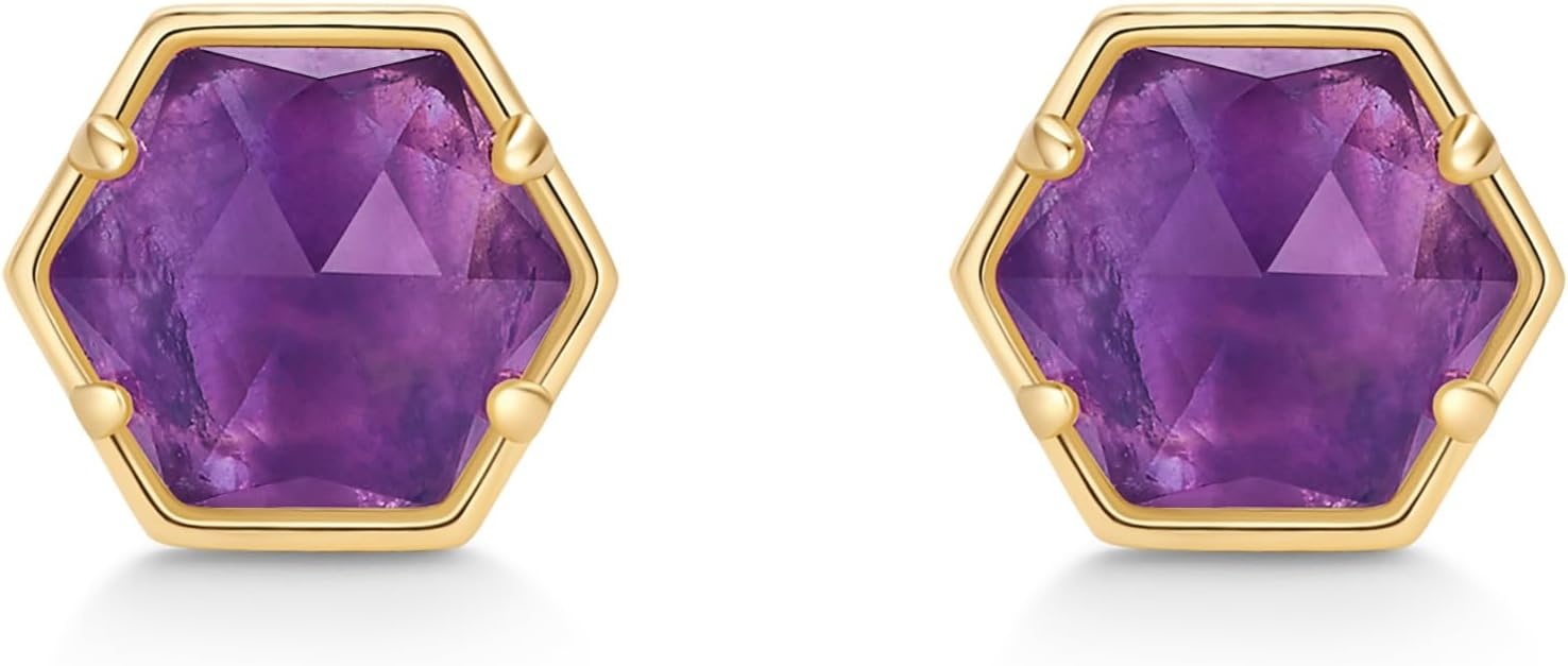 image:imagePAVOI 14K Gold Plated Hexagon Gemstone Stud Earrings for Women Natural Birthstone Earring PairAmethyst