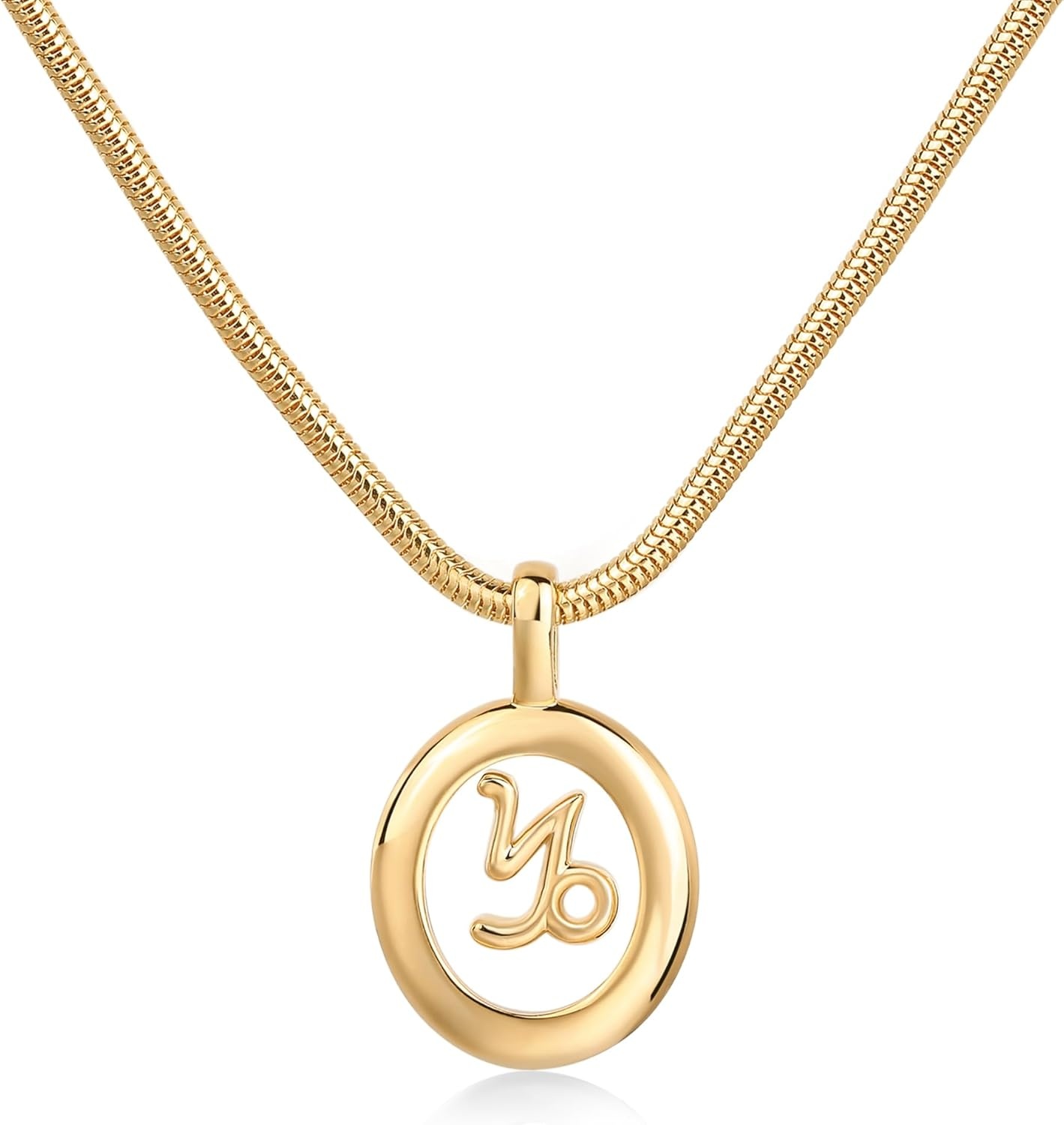 image:imagePAVOI 14K Gold Plated Unique Floating Astrology Pendant Necklace for Women Horoscope Charm Necklace Dainty Zodiac GiftsYellow Gold