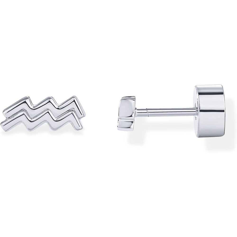 image:imagePAVOI 14K Gold Plated 925 Sterling Silver Posts Zodiac Sign Flat Back Earring Studs Birthday Gift for Women Astrology Earring PairAquarius