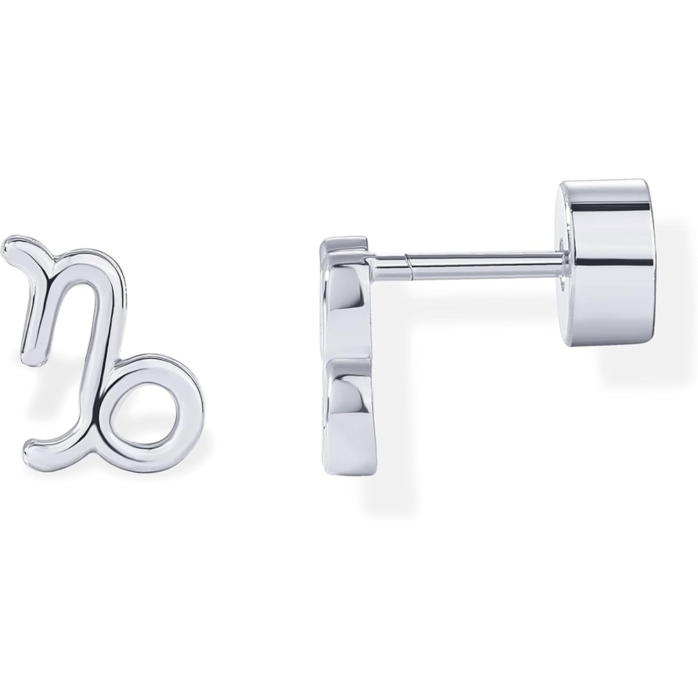 image:imagePAVOI 14K Gold Plated 925 Sterling Silver Posts Zodiac Sign Flat Back Earring Studs  Birthday Gift for Women  Astrology Earring PairCapricorn