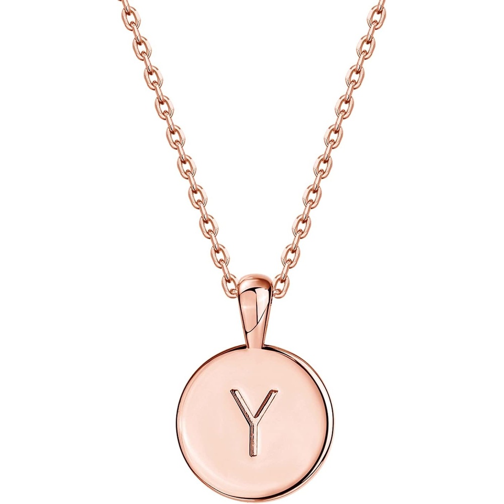 image:imagePAVOI 14K Gold Plated Initial Letter Pendant Necklace for Women  Gold Alphabetical Initial Necklace Y