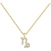 Capricorn