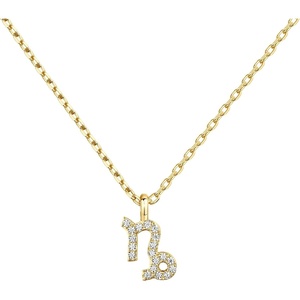 PAVOI 14K Gold Plated Cubic Zirconia Astrology Necklaces for Women – Zodiac Pendant Jewelry Gifts – Zodiac Sign Pendant Necklaces(Capricorn)