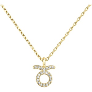 PAVOI 14K Gold Plated Cubic Zirconia Astrology Necklaces for Women – Zodiac Pendant Jewelry Gifts – Zodiac Sign Pendant Necklaces(Taurus)