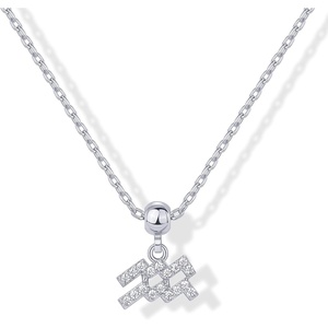 PAVOI 14K Gold Plated Dainty Zodiac Necklace with Charms – Adjustable Chain Gold Charm Zodiac Necklaces for Women – Small Astrology Removable Pendants – Cute Jewelry Gifts(White Gold)